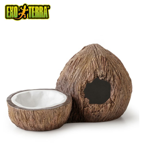 엑소테라 코코넛 도마뱀물그릇 레오파드게코은신처