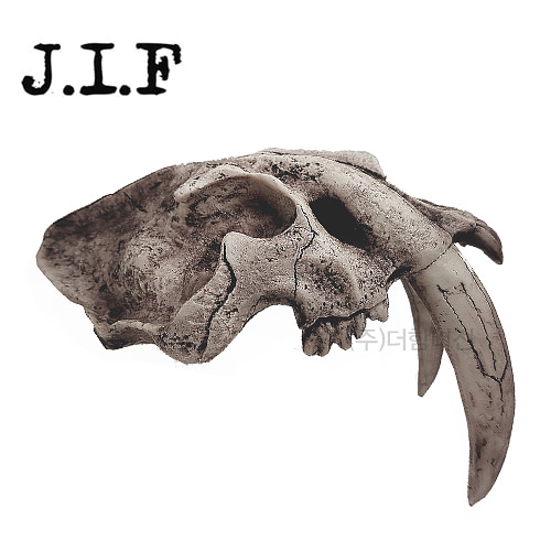 JIF 도마뱀 은신처 호랑이해골